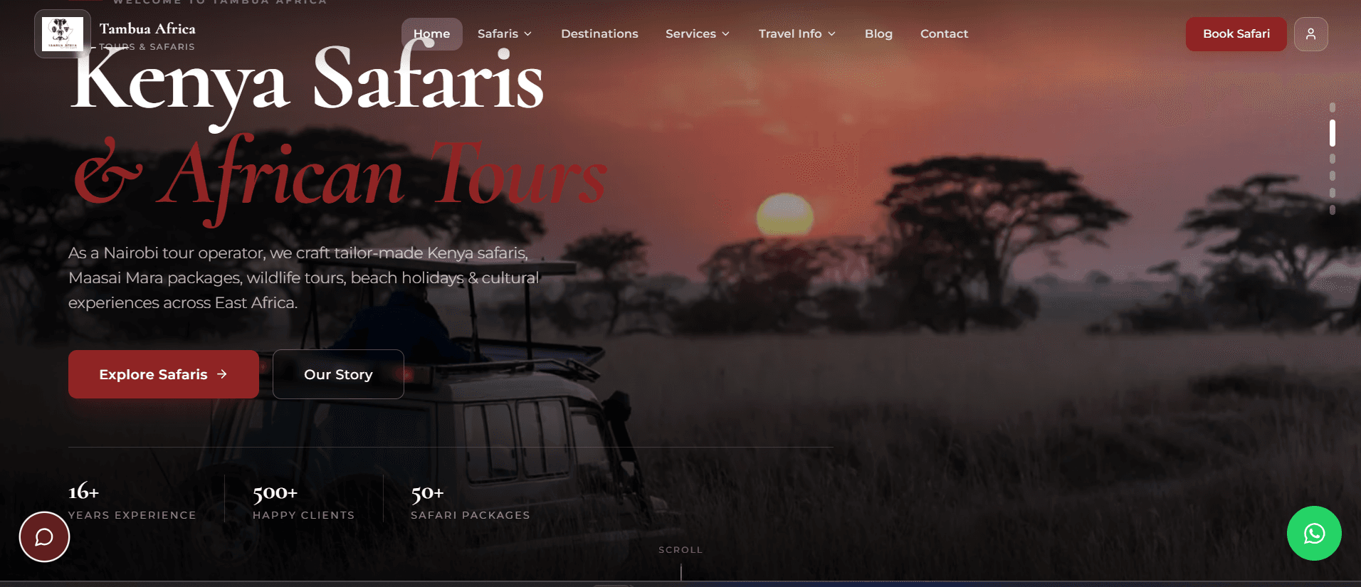 Tambua Africa Tours & Safaris